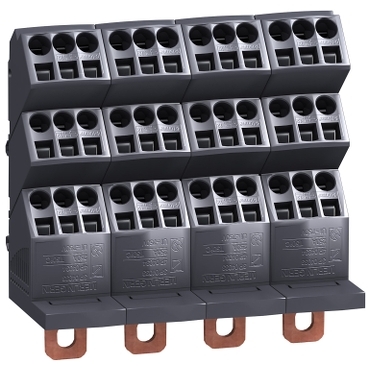 Schneider - : PrismaSeT POLYBLOC 250A 4P - LVS04034