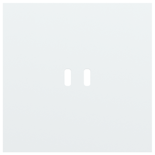 Niko - 1V AFDEKPLAAT VOOR DUBBELE USB C, ROCKER AND TOGGLE - 154-74103