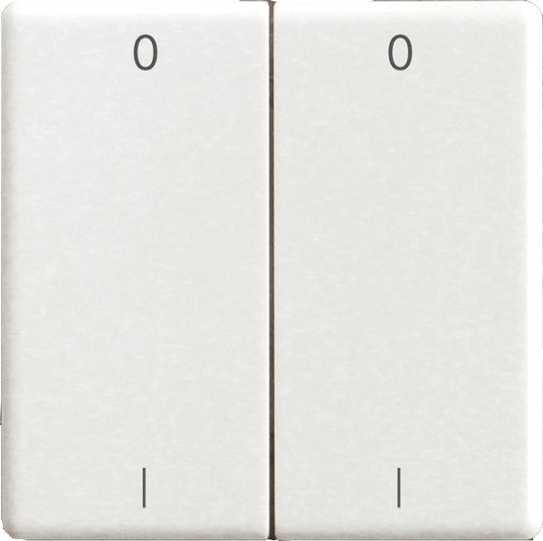 Eltako - Dubbele toetsen 55ES met gravure - 30000969