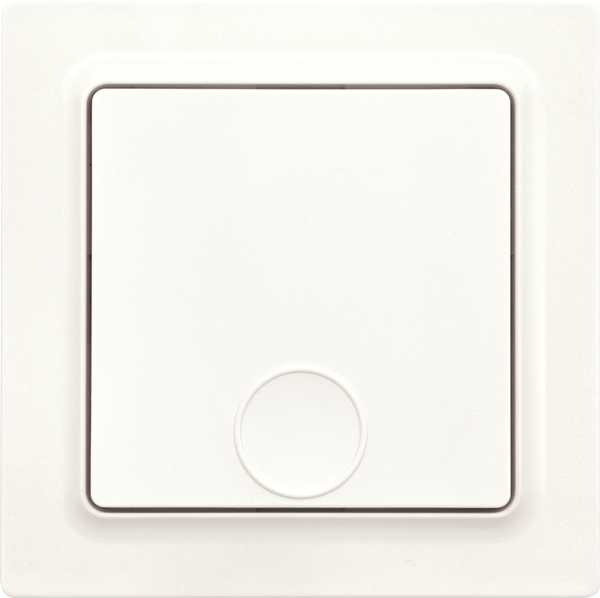 Eltako - Draadloze zenddrukknop 1 kanaal poolwit mat E 55 - 30055713