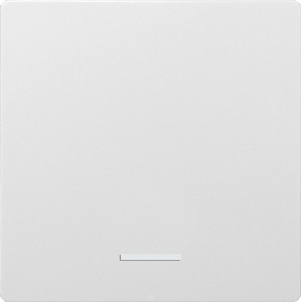 Eltako - Enkele toets E 55, antraciet mat - 30055910