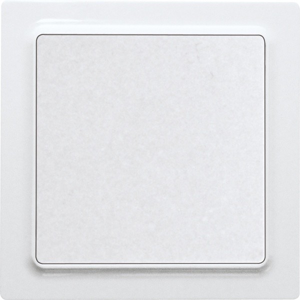 Eltako - Schakelaar E55 poolwit mat - 30055739