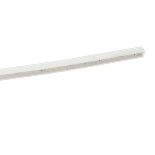 Europole - SHARK TOP VIEW SM naar CM transparant soepel 3000K SOFT PERF - 112000TSSM