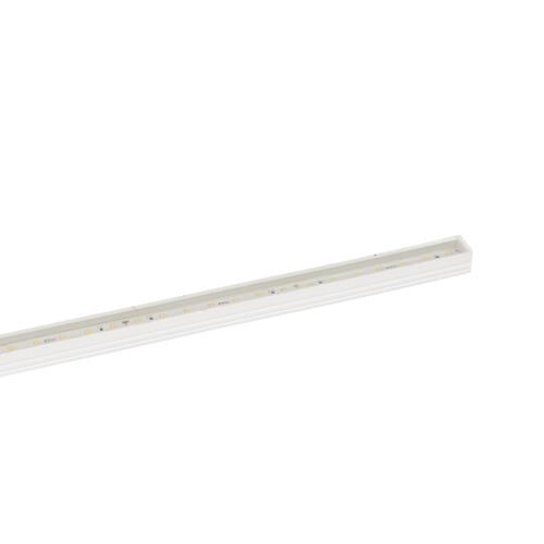 Europole - SHARK TOP VIEW SM naar CM transparant stijf 4000K SOFT PERF - 112001TRSM