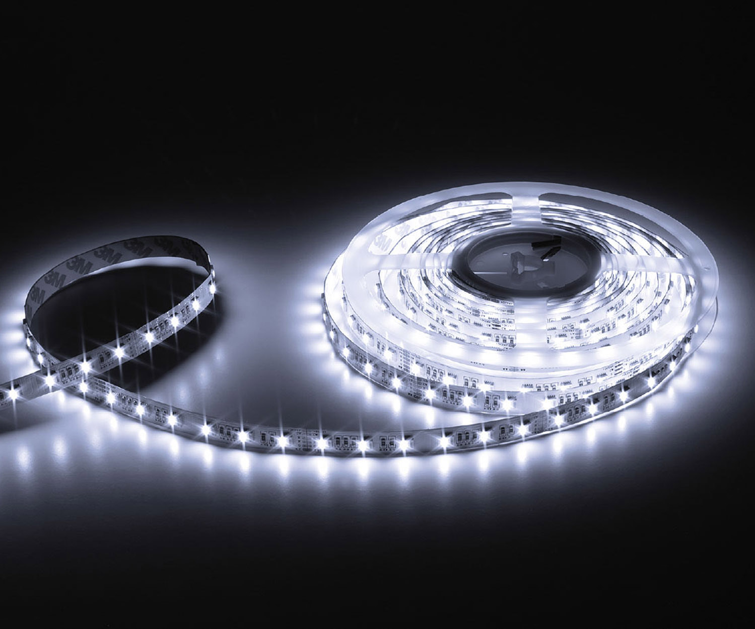 Proled - Flex strip 19,2 W/m 1170 lm/m RGB + 6500K CRI wit 80 - L65D804