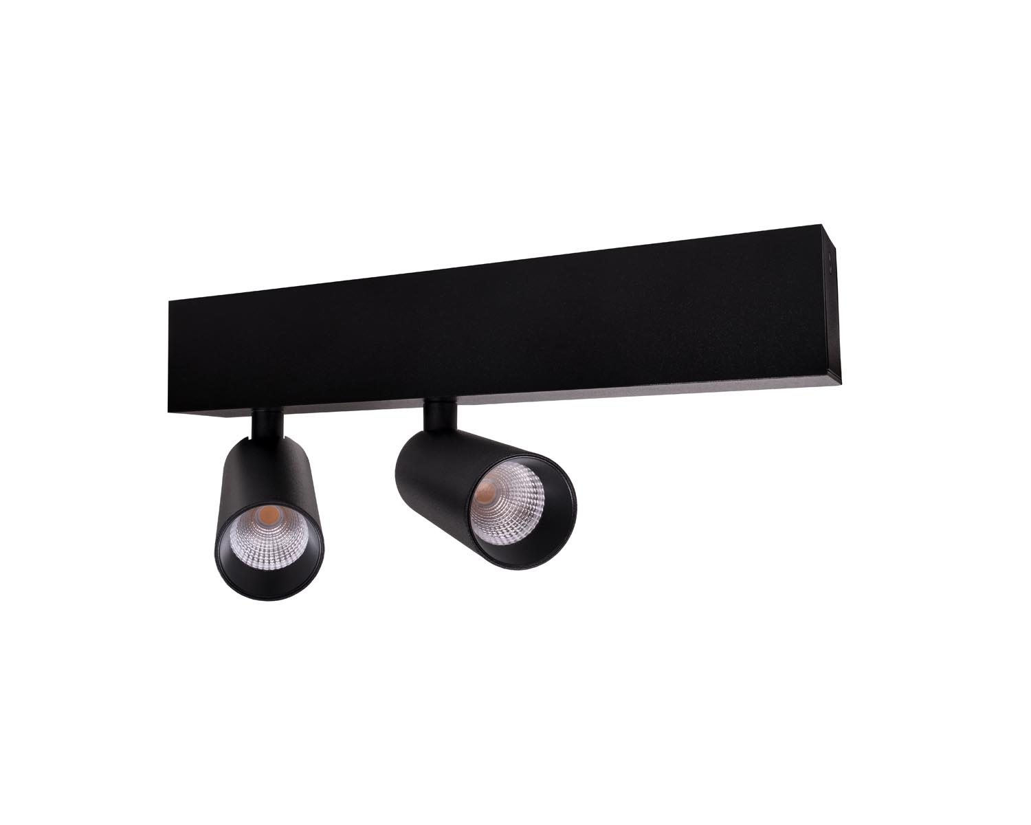 Unibright - Opbouw armatuur voor plafond of wand 2L zwart incl. dimb - LVM27002B