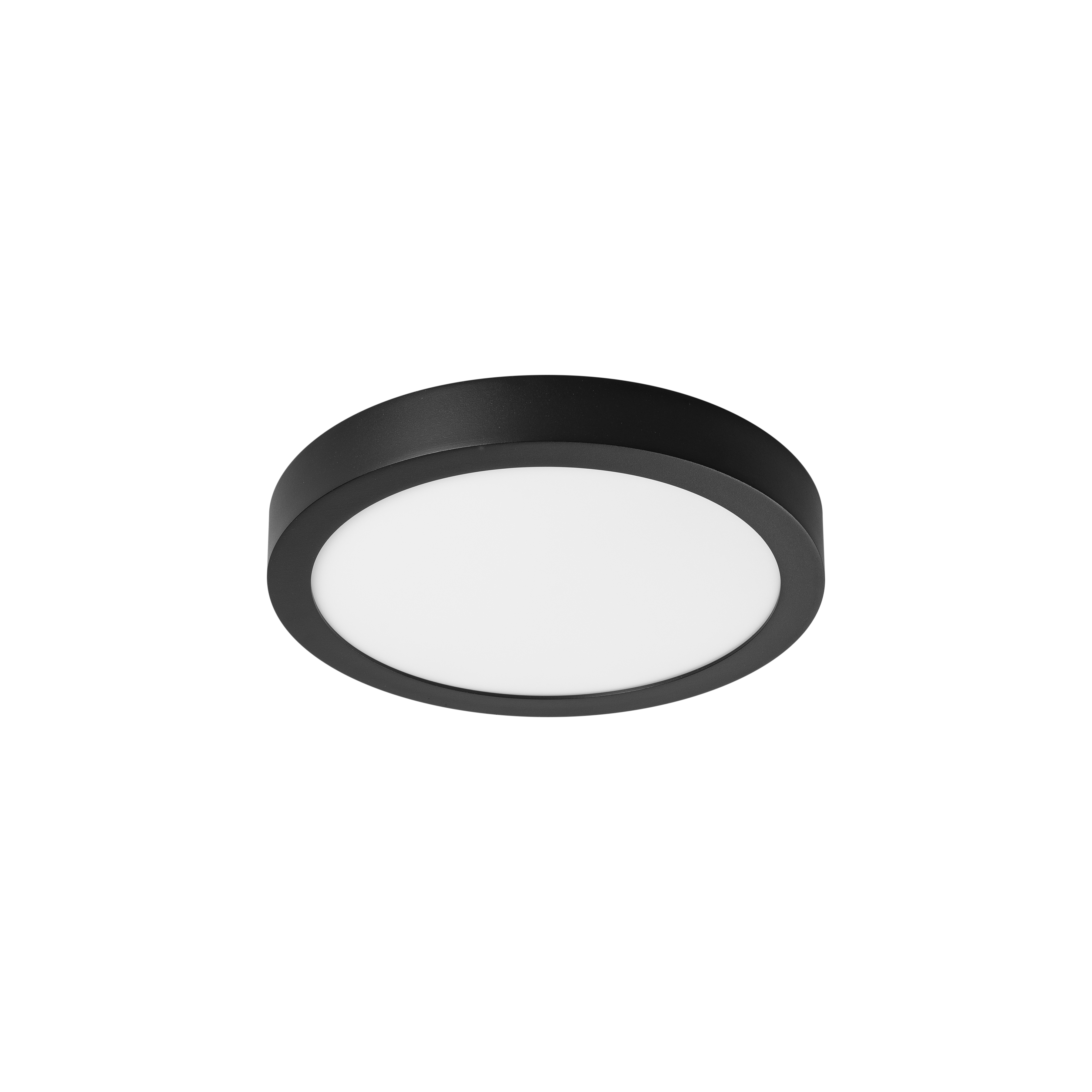 Prolumia - Pro Ceiling 300x39mm, opbouw, 30W, 3000K, zwart, dimbaar - 40001235