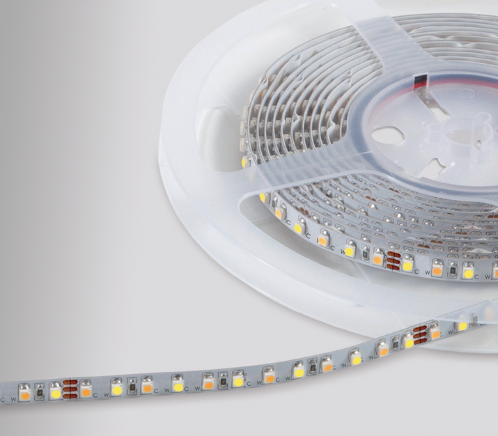 Prolumia - LED strip SILVER IP62, 24Vdc, 120 LED's/m CW (6000K)+ WW (24 - 46180113