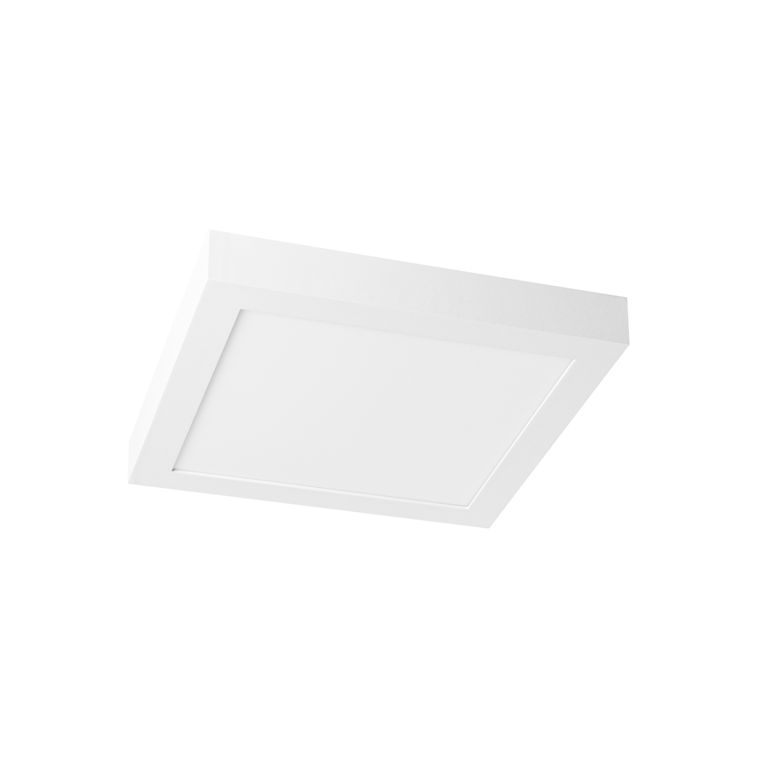 Prolumia - Pro Ceiling 300x300xH39mm, opbouw, max. 30W, IP40 - 40001830