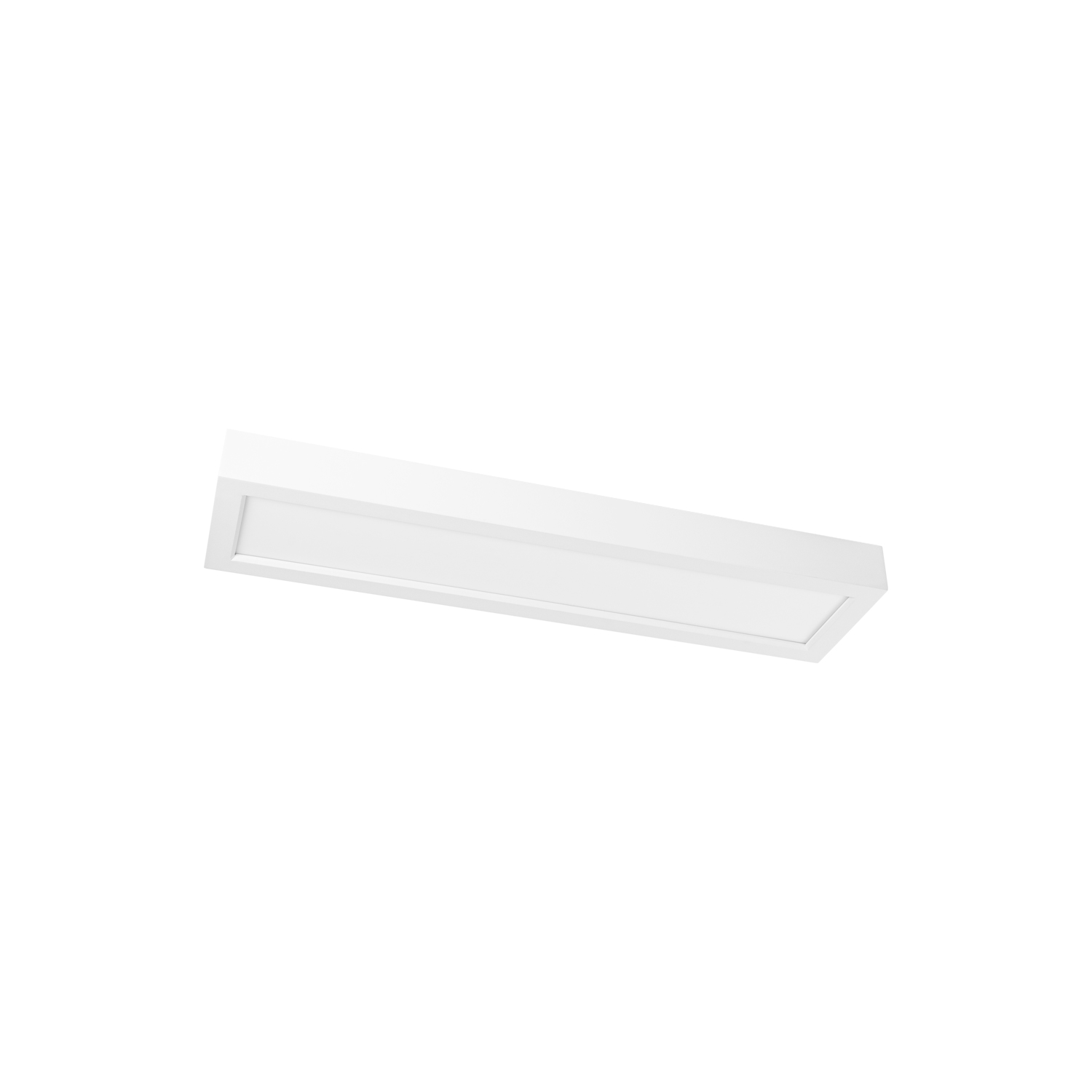 Prolumia - Pro Ceiling 150x600xH48mm, opbouw, max. 20W, IP40 - 40001860