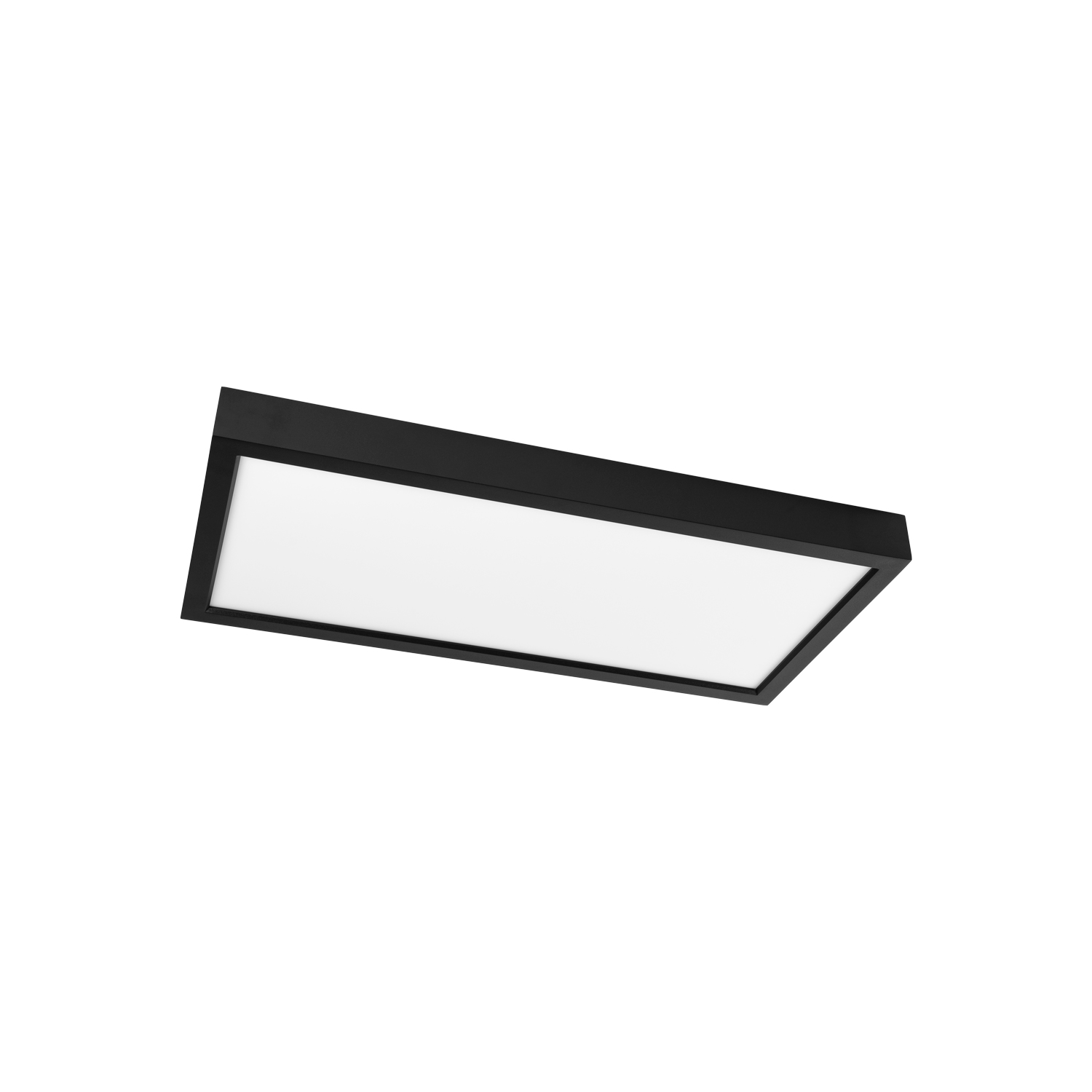Prolumia - Pro Ceiling 300x600xH48mm, opbouw, max. 30W, IP40 - 40001875