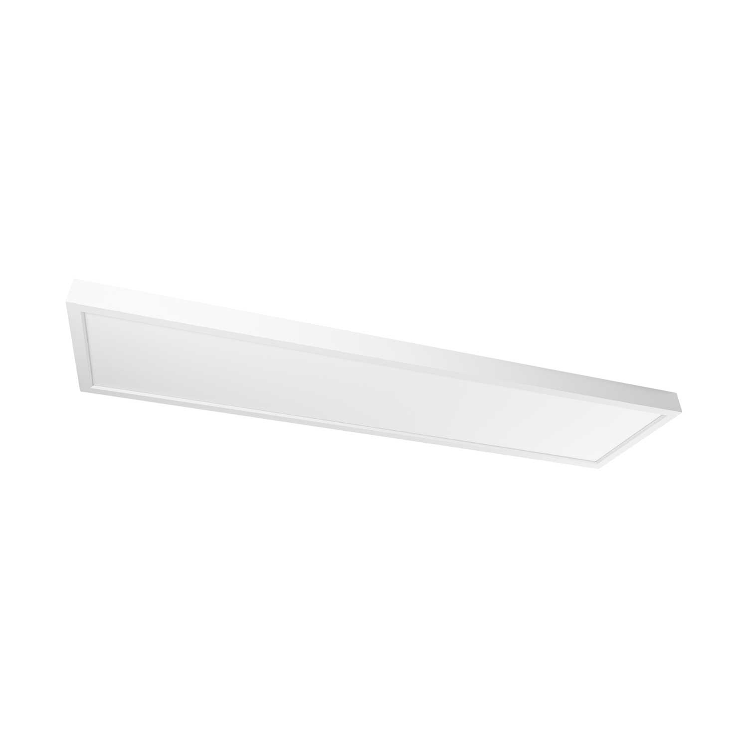 Prolumia - Pro Ceiling 300x1200xH48mm, opbouw, max. 40W, IP40 - 40001890