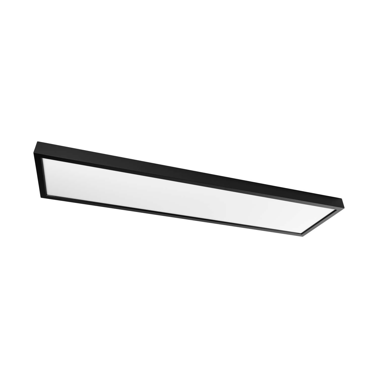 Prolumia - Pro Ceiling 300x1200xH48mm, opbouw, max. 40W, IP40 - 40001895
