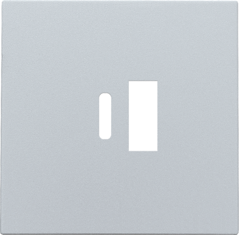 Niko - Afwerkingsset voor dubbele smart USB A en USB C lader, ster - 121-68002