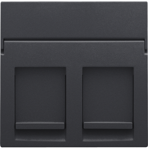 Niko - Centraalplaat data 2x RJ, anthracite coated - 122-65200