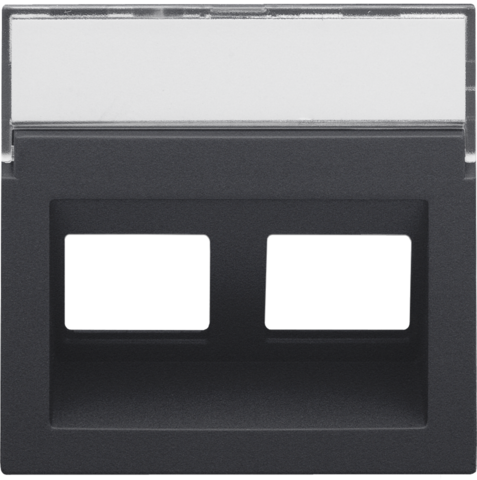 Niko - Centraalplaat data 2x RJ schuine uitgang, anthracite coated - 122-65400