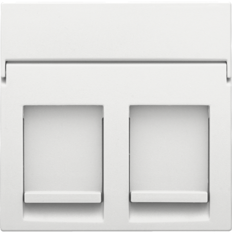 Niko - Centraalplaat data 2x RJ, white coated - 154-65200
