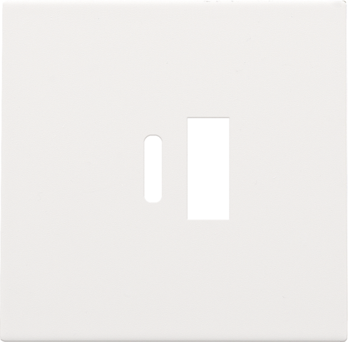 Niko - Afwerkingsset voor dubbele smart USB A en USB C lader, whit - 154-68002