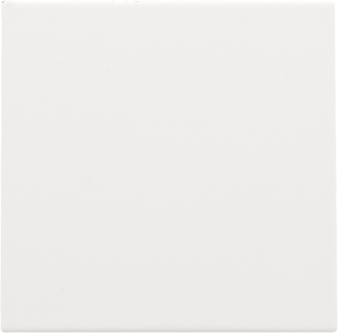 Niko - Blindplaat, white coated - 154-76901