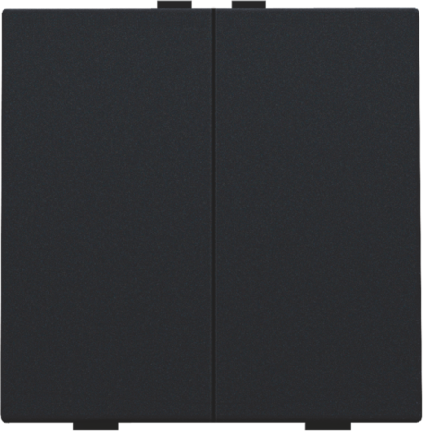 Niko - Tweevoudige drukknop voor Niko Home Control, black coated - 161-51002