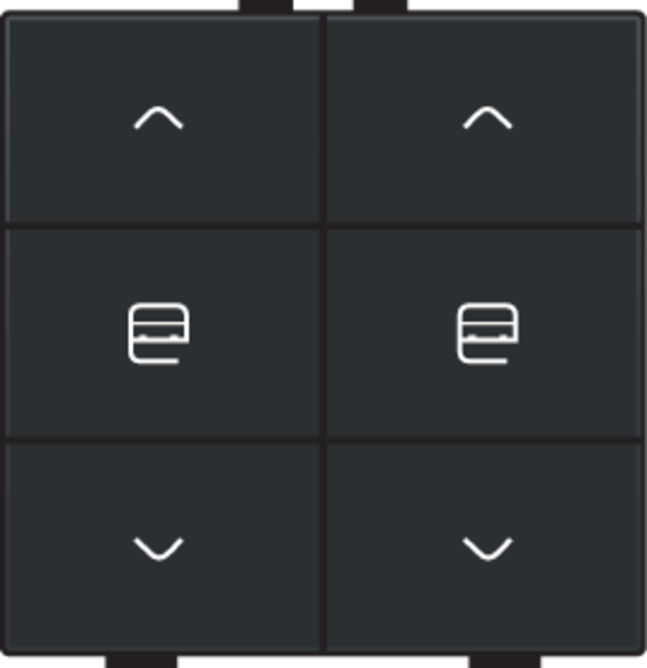 Niko 161-51036: Dubbele motorsturingsbediening voor Niko Home Control, black coated - Image 2