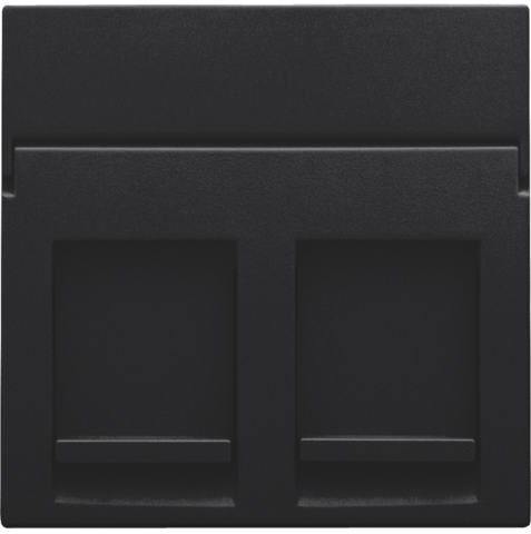Niko - Centraalplaat data 2x RJ, black coated - 161-65200