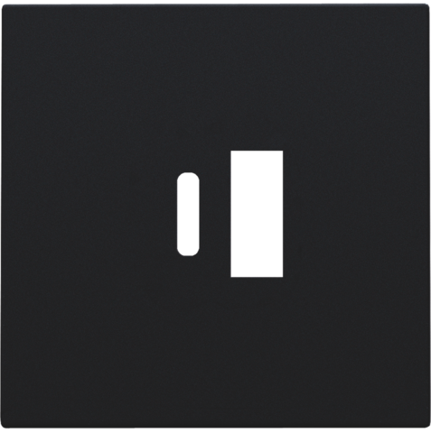 Niko - Afwerkingsset voor dubbele smart USB A en USB C lader, blac - 161-68002