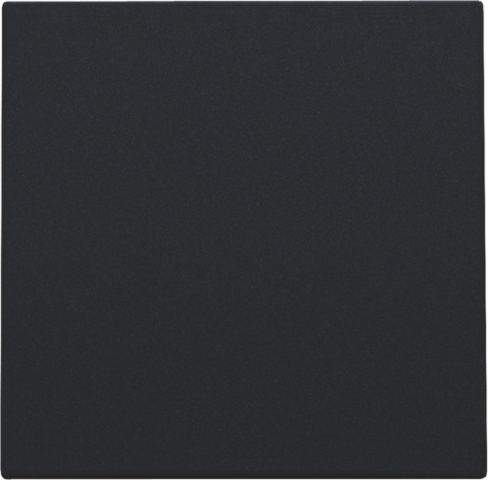 Niko - Blindplaat, black coated - 161-76901