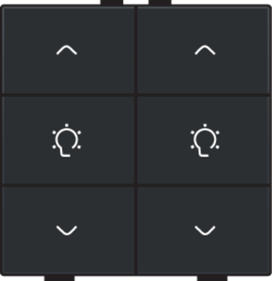 Niko 200-51046: Dubbele dimbediening voor Niko Home Control, piano black coated - Image 2