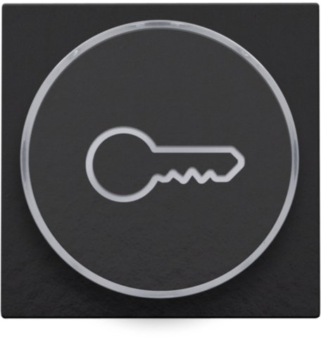 Niko - Afwerkingsset met doorschijnende ring met sleutelsymbool voo - 200-64009
