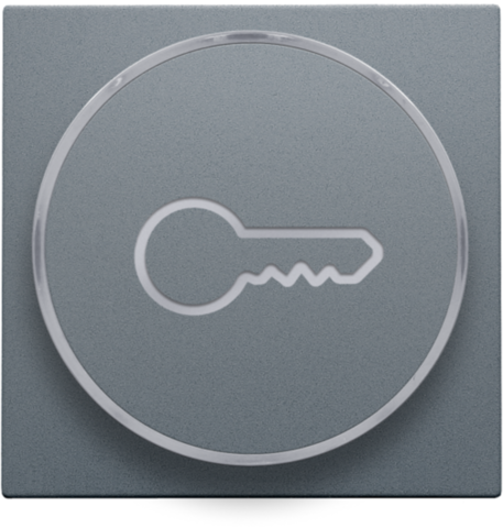 Niko - Afwerkingsset met doorschijnende ring met sleutelsymbool voo - 220-64009