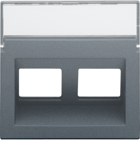Niko - Centraalplaat data 2x RJ schuine uitgang, blue grey coated - 220-65400