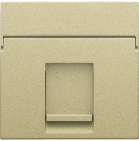 Niko - Centraalplaat data 1x RJ, gold coated - 221-65100