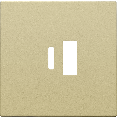 Niko - Afwerkingsset voor dubbele smart USB A en USB C lader, gold - 221-68002