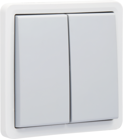 Niko - Spuitwaterdichte serieschakelaar 10 AX/250 Vac met insteekkl - 700-31505