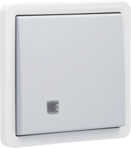 Niko - Spuitwaterdichte tweepolige controleschakelaar 10 AX/250 Vac - 700-37200